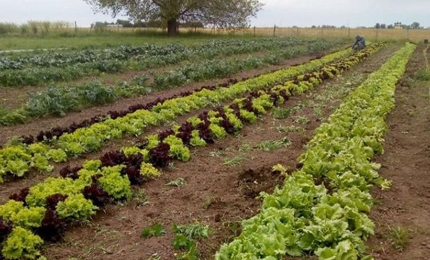 Presos aprenden horticultura para reinsertarse laboralmente cuando recuperen su libertad