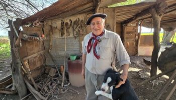 “Con dolor hago estos versos...": el poeta de la finca perdida que emociona por su amor a Fatiga, su fiel compañero al que envenenaron