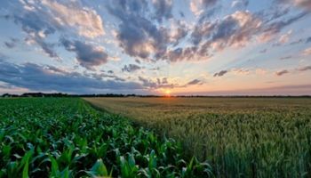 ¿Siguen las lluvias? Alertan que la incerteza del pronóstico es mayor que otras veces