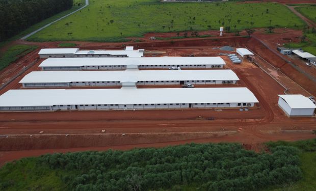 Hubbard investe R$ 60 milhões para ampliar produção de matrizes no Brasil