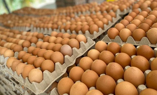 Semana mundial del huevo: qué lugar ocupa Argentina en el ranking global de consumo