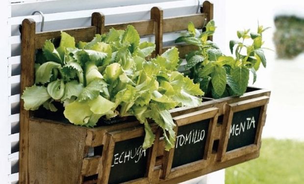 Durante la feria de Placeres Regionales, se brindó un taller de huerta vertical.