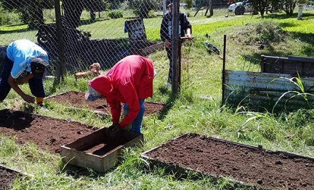 Preparar la huerta para el otoño.