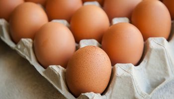 10 razones por las que el huevo es un aliado clave para la salud en la pandemia