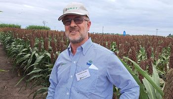 La empresa de origen francés que compró el programa de mejoramiento de trigo de BASF y se afianza como líder en genética a nivel mundial