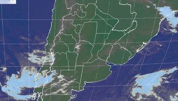 Grado de humedad no es el óptimo para la cosecha