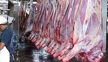 Se frenó la rebaja de las retenciones a la carne