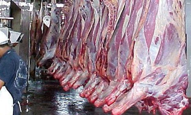 Subió el consumo de carne por habitante