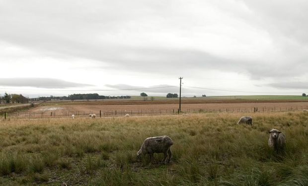 La provincia es una de las mejor posicionadas para recibir inversiones por la calidad del agua, el suelo y el clima.