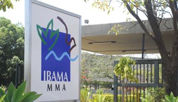 Ibama descobre R$ 25 milhões em empréstimos rurais irregulares e aciona bancos públicos