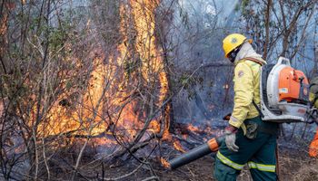 Urgente: com incêndios fora de controle, MPF aciona Justiça para contratação extra de brigadistas