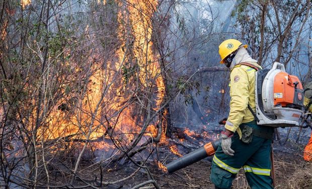 Urgente: com incêndios fora de controle, MPF aciona Justiça para contratação extra de brigadistas