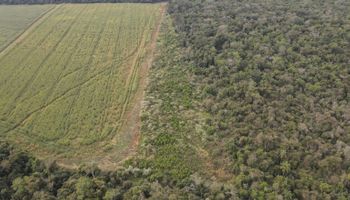 Ibama aplica R$ 600 mil em multas a 12 fazendeiros no Mato Grosso do Sul