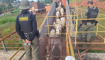 Agentes do ICMBio sofrem atentados durante operação em reserva no Acre