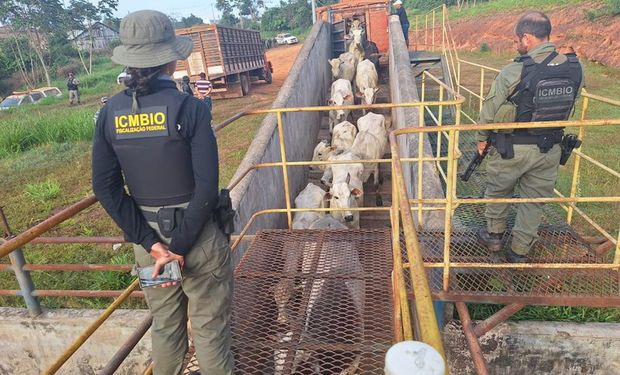 Agentes do ICMBio sofrem atentados durante operação em reserva no Acre