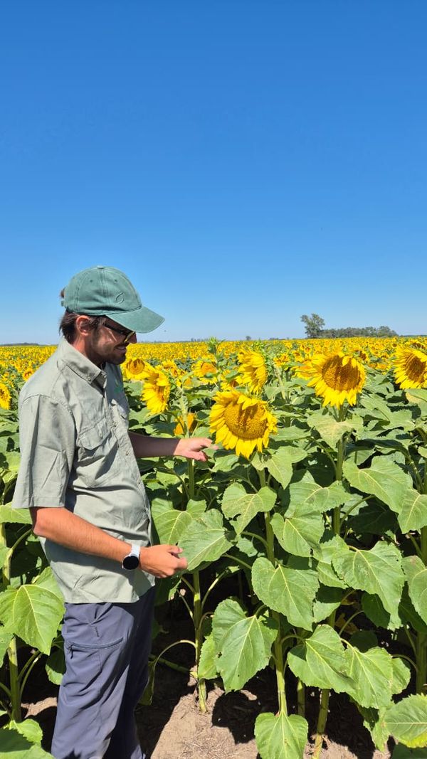 ignacio jolly perez en el campo