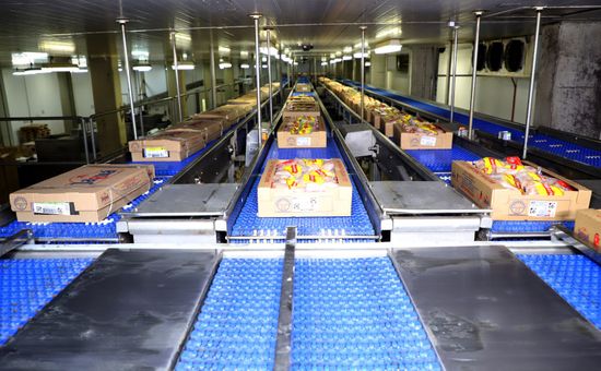 Pé de galinha, pênis bovino, bucho, miúdos e vísceras: as novas estrelas do agro brasileiro tipo exportação 