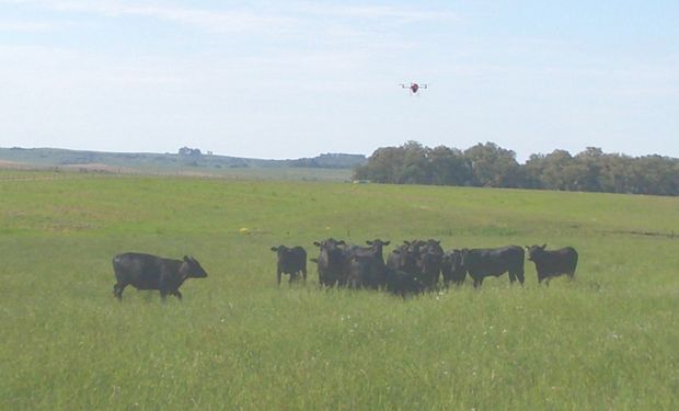 Agricultura de precisão pode melhorar o sistema ILP