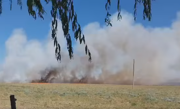 Intentaron hacer un asado e incendiaron más de 15 hectáreas en Castelli