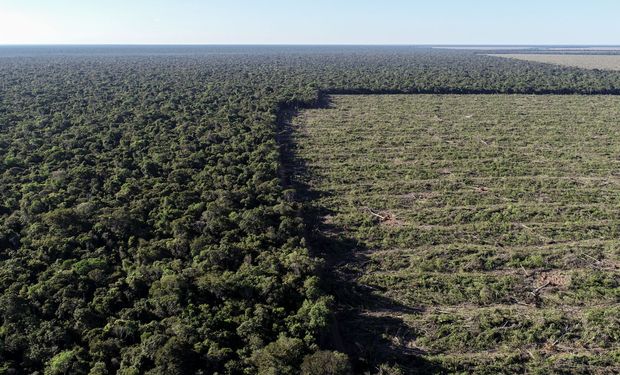 Governo reforça restrições ambientais para concessão de crédito rural