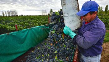 Federación Agraria Argentina exige que se realice un operativo de compra de uva