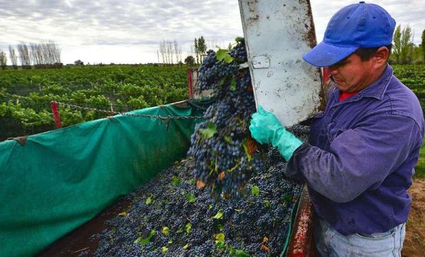 Comunicado de FAA en Mendoza ante la "desesperación de los productores vitivinícolas".