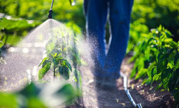 Expodireto: CropLife Brasil lança plataforma EaD