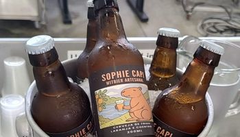 Dia da Cerveja tem brinde inusitado: alunos de SP criam receita com soro de leite, cacto e gengibre 