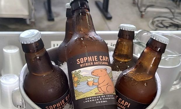 Dia da Cerveja tem brinde inusitado: alunos de SP criam receita com soro de leite, cacto e gengibre