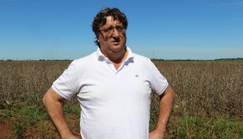 A la brasilera, pero en Argentina, siembra soja y maíz en tierras coloradas y quiere que otros se animen: "Hay un recurso que es invaluable"