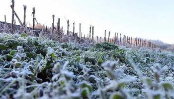 Llega un refuerzo de aire frío y continuará el ambiente invernal hasta julio: qué pasará con las lluvias