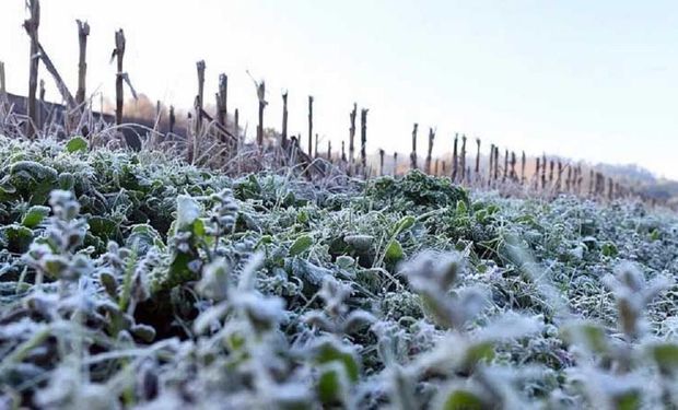 Llega un refuerzo de aire frío y continuará el ambiente invernal hasta julio: qué pasará con las lluvias