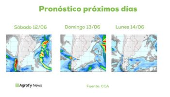 Pronóstico del tiempo: qué se espera de lluvias y temperaturas en plena siembra de trigo