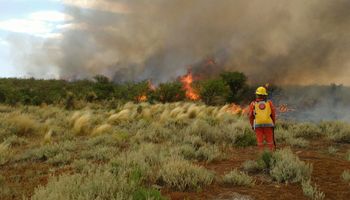 Córdoba: en 30 años se quemó el 58 % de la geografía serrana 