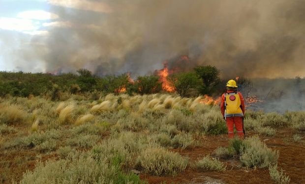 Córdoba: en 30 años se quemó el 58 % de la geografía serrana 