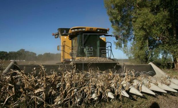 El complejo oleaginoso-cerealero aportó, el año pasado, el 45% del total de las exportaciones de la Argentina, según el Indec.