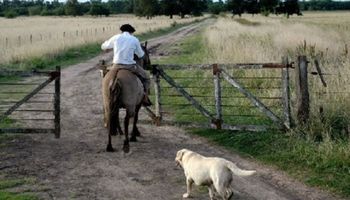 Libreta de trabajo agrario: actualización de datos y registro para empleadores