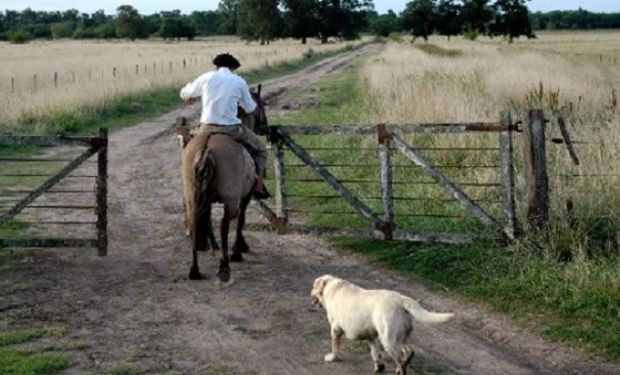 Libreta de trabajo agrario: nuevo formato.