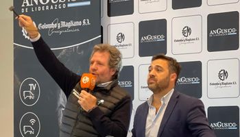 Gran remate televisado en la ExpoAngus: más de 17.500 cabezas a la venta desde La Rural