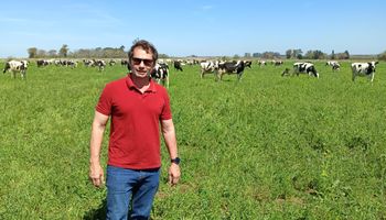 ¿Cómo es ser productor ganadero en Argentina hoy? "Hay un boom ganadero, como hace 15 años fue el boom de la soja"