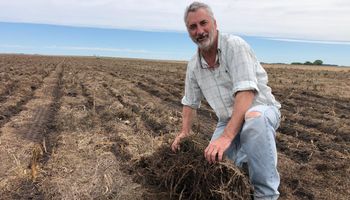 “Nos tildaron de soviéticos”: el ingeniero agrónomo Peco Repetto defendió la Ley de Suelos y pidió separar la política del conocimiento técnico