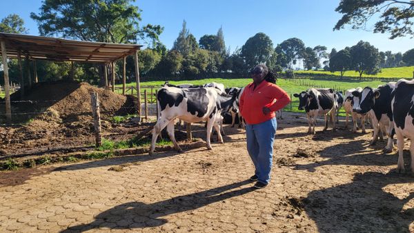 kenia competidor te