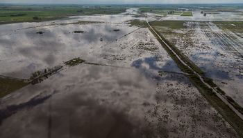 El INTA aconseja para evitar inundaciones 