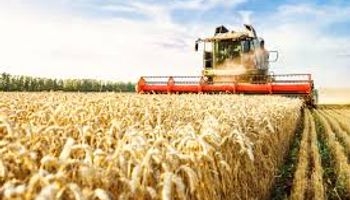 Apoyo millonario: los farmers recibirán una ayuda adicional por los bajos márgenes de la agricultura