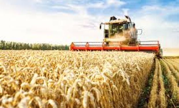 Apoyo millonario: los farmers recibirán una ayuda adicional por los bajos márgenes de la agricultura