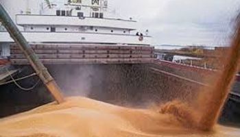 Exportación récord de soja en Brasil