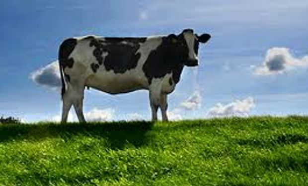 Australia continúa dominando las importaciones chinas de carne roja