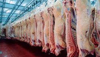 Advierten que podría aumentar la carne 