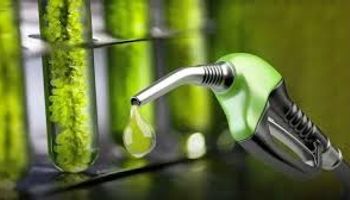 El sector bioenergético pide al Senado aprobar la nueva ley de biocombustibles: “La actual está agotada”