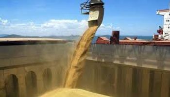 Sin exportaciones del agro, las ventas al exterior hubieran caído